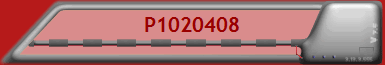 P1020408