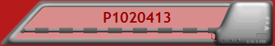 P1020413