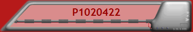 P1020422